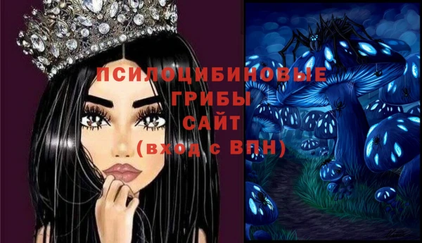 эйфоретик Верея